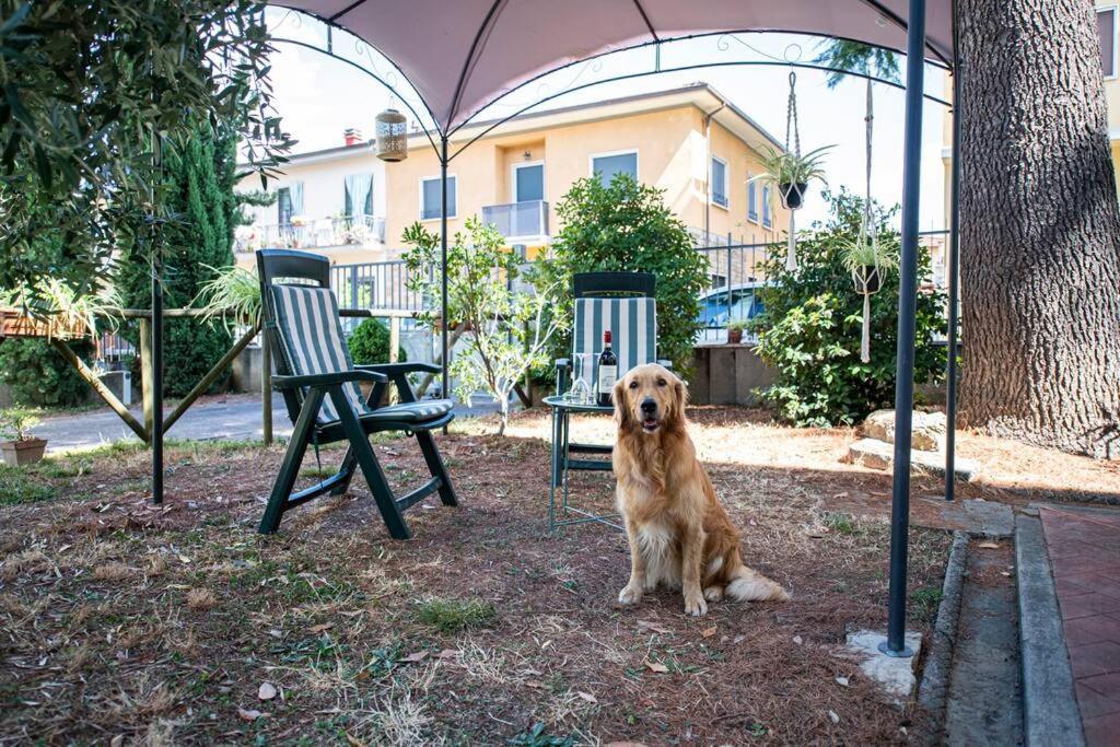 Easy Florence Скандиччи Экстерьер фото